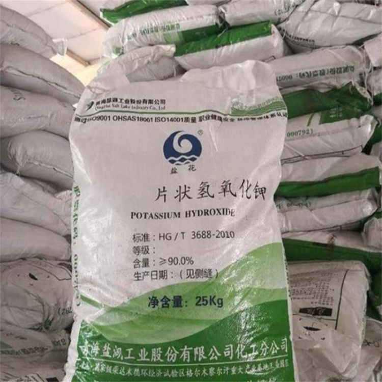 美女网站免费啪啪